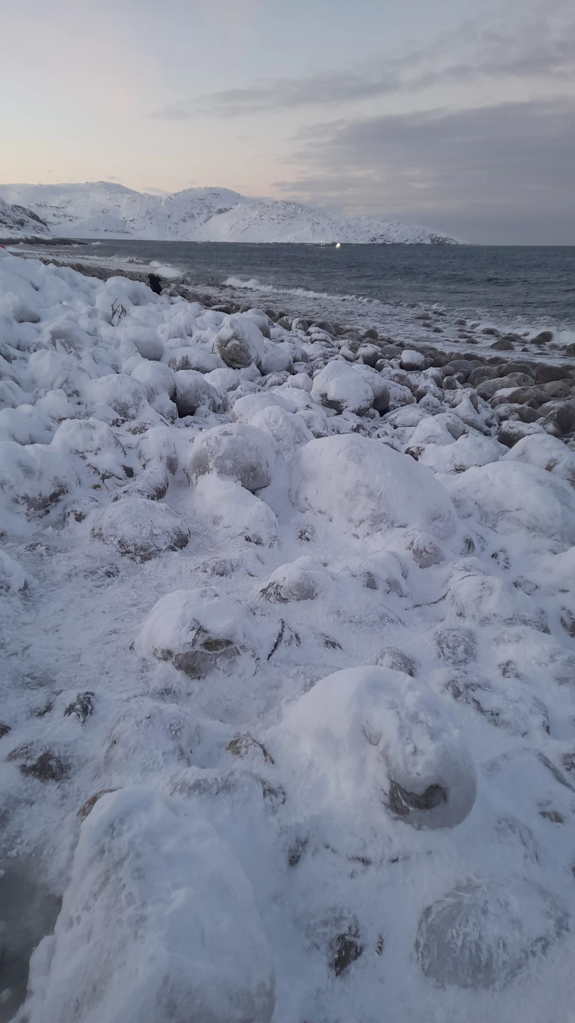 Киты, тюлени и невероятная Териберка (Ольга)