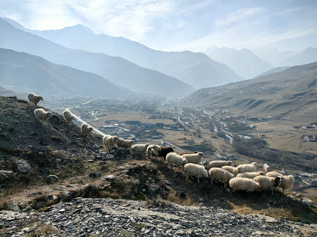 24.11.25. Прекрасная поездка! Глаз радовался всю дорогу, потрясающие виды! Нам повезло с погодой и был виден