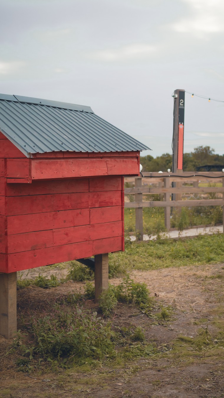 На ферму альпак — из Владивостока (9/16)