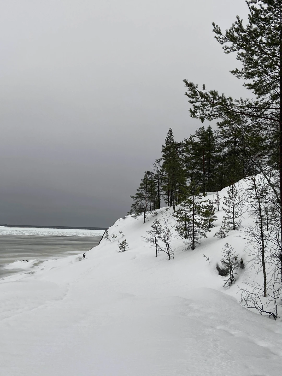 По ладожским шхерам круглый год - на аэролодке (Анастасия)