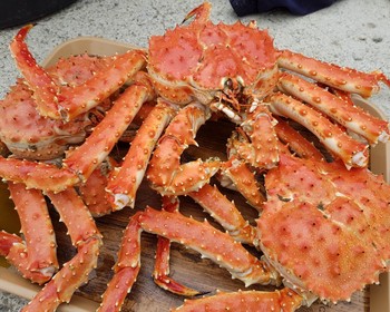 Свободный день