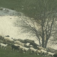 Фото отзыва 6: экскурсия "Дикая красота Черногории"