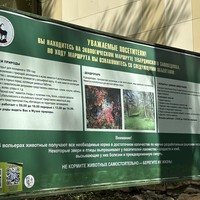 Фото отзыва 2: экскурсия "Домбай: экскурсия-конструктор"