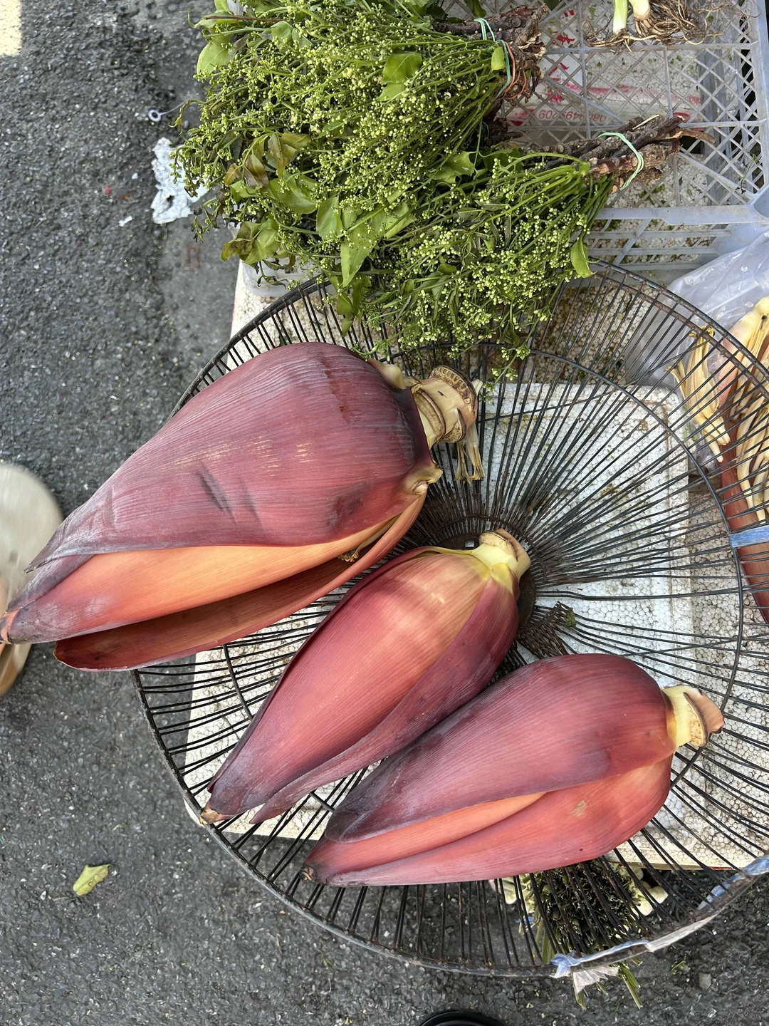 Это даже не экскурсия, а мини приключение. Спасибо Розе за прекрасный и яркий день
