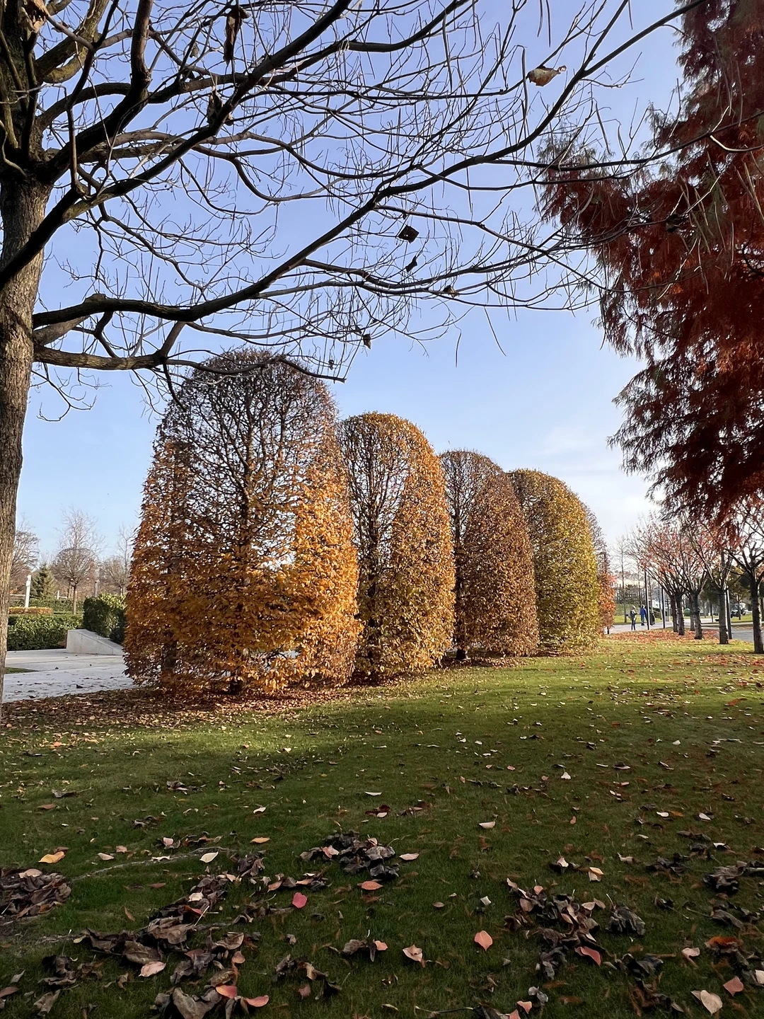 Была на экскурсии 17 ноября!