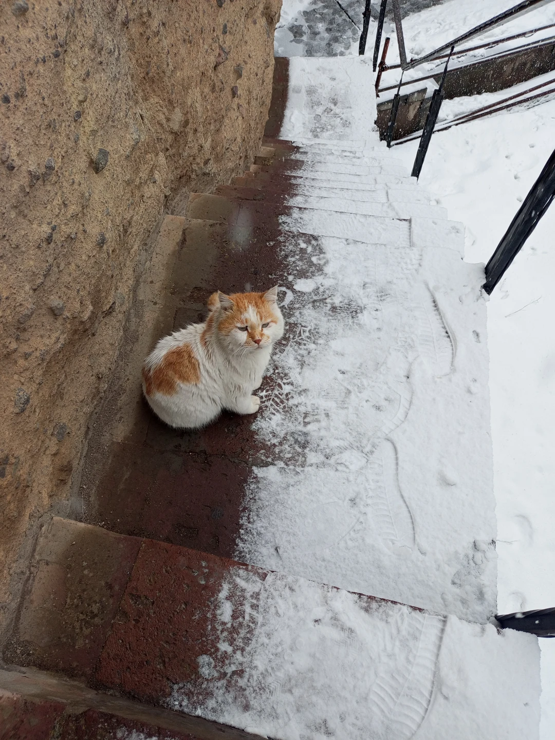 Очень понравилось