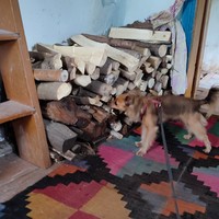 Фото отзыва 3: экскурсия "Ремесленный Алтай: мастер-классы и деревенский обед"