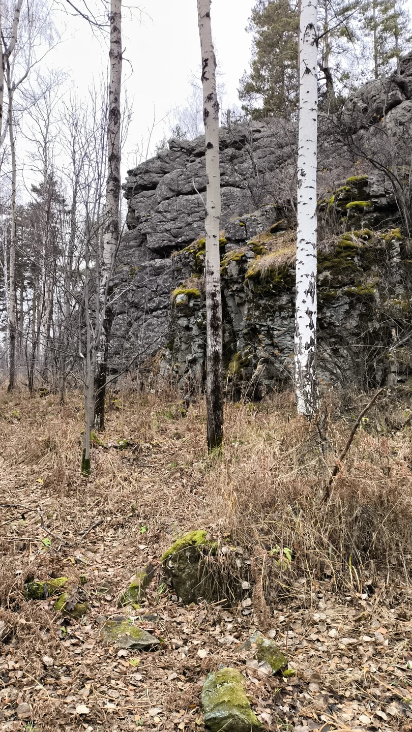 Ездили показать внуку новые места в области, природу и животных