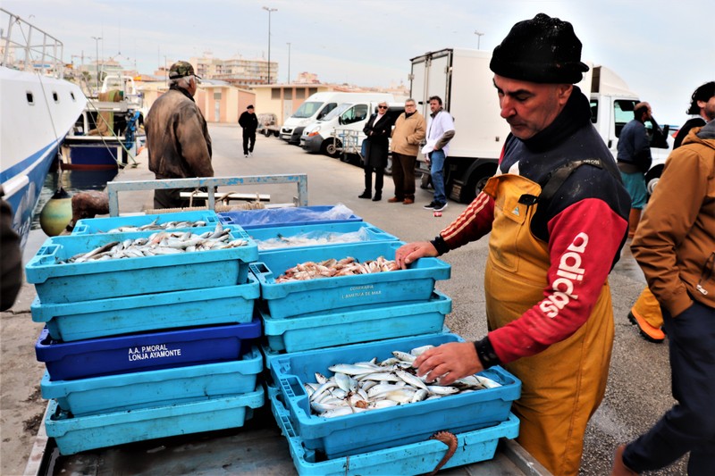 Аликанте для своих