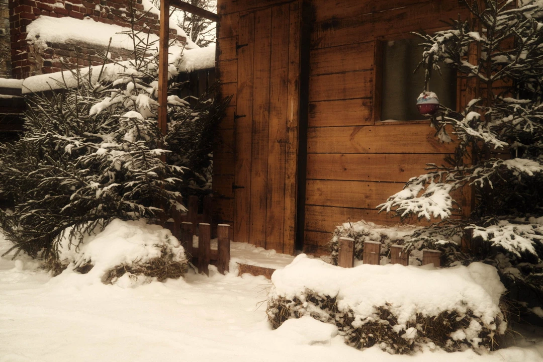 Другой Нижний: непарадные улицы, деревянные кварталы, стрит-арт (Андрей)