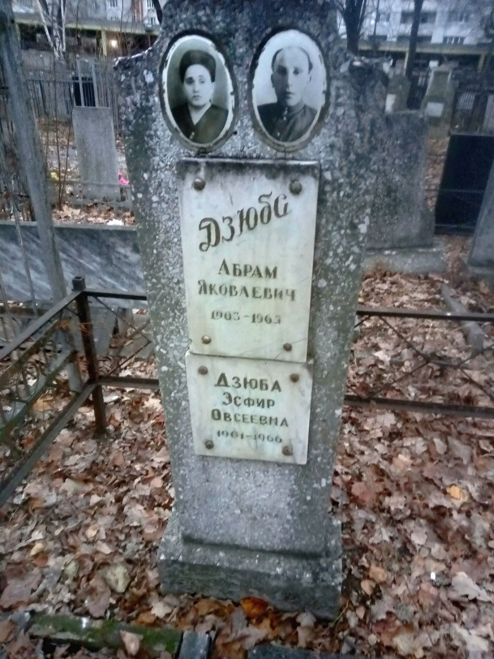 Тайны воронежского некрополя (4/7)