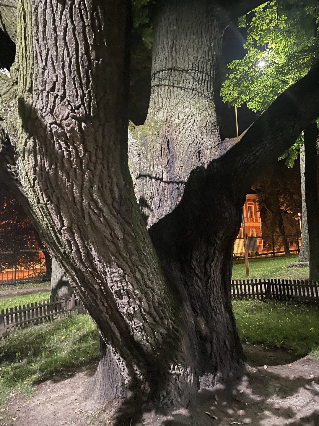 Сияй, вечерняя Калуга (Елена)