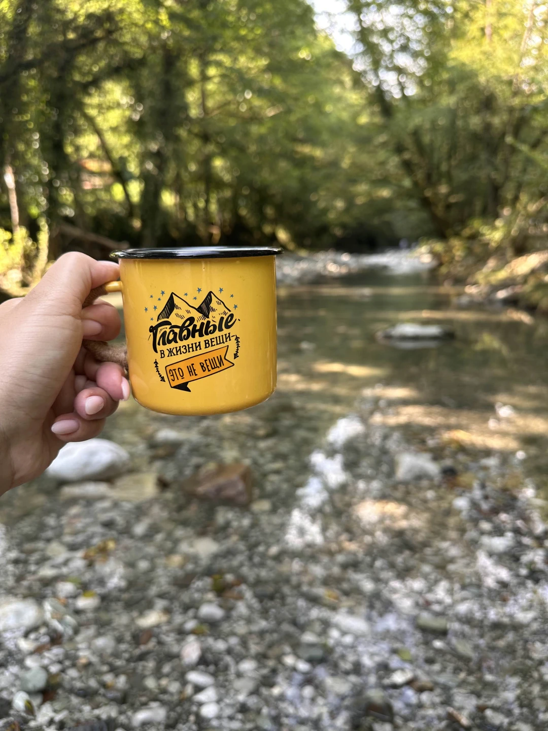 Экскурсия очень разнообразная. Погуляли по волшебному самшитовому лесу, залезли на руины, нафотографировались на чайных плантациях, попробовали