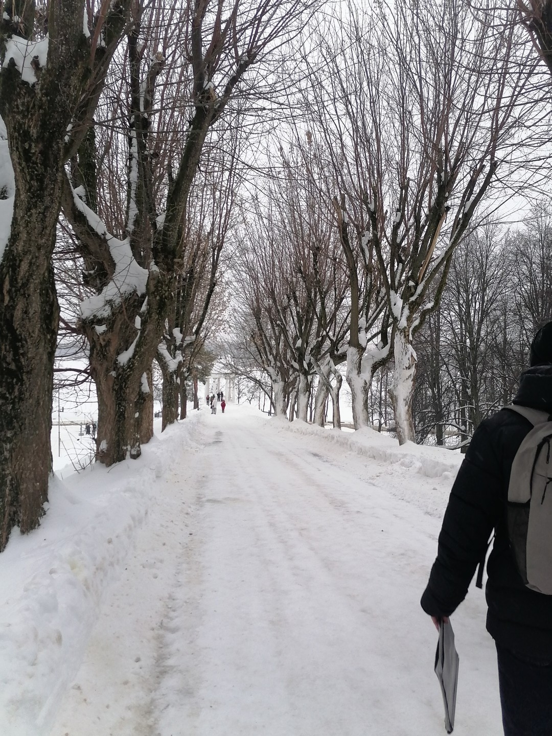 Обзорная групповая экскурсия «Кострома вдоль и поперёк» (Надежда)
