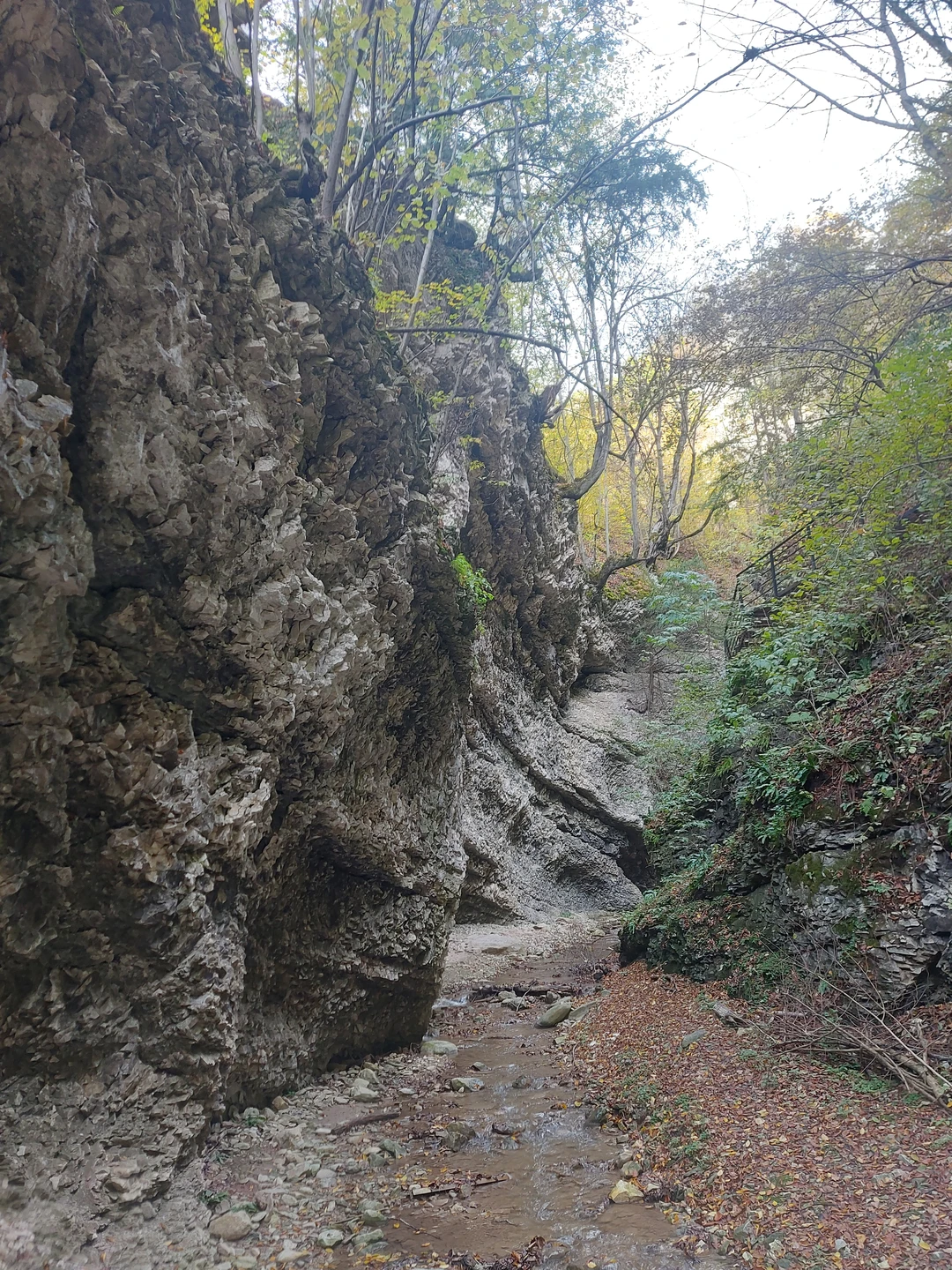 Аслан блестяще знает историю Чечни, её культуру, особенности, традиции, а также реальную жизнь в республике. Подробно