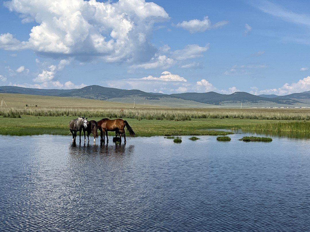 Из Улан-Удэ - к подножью горы Баян-Хонгор (Елена)