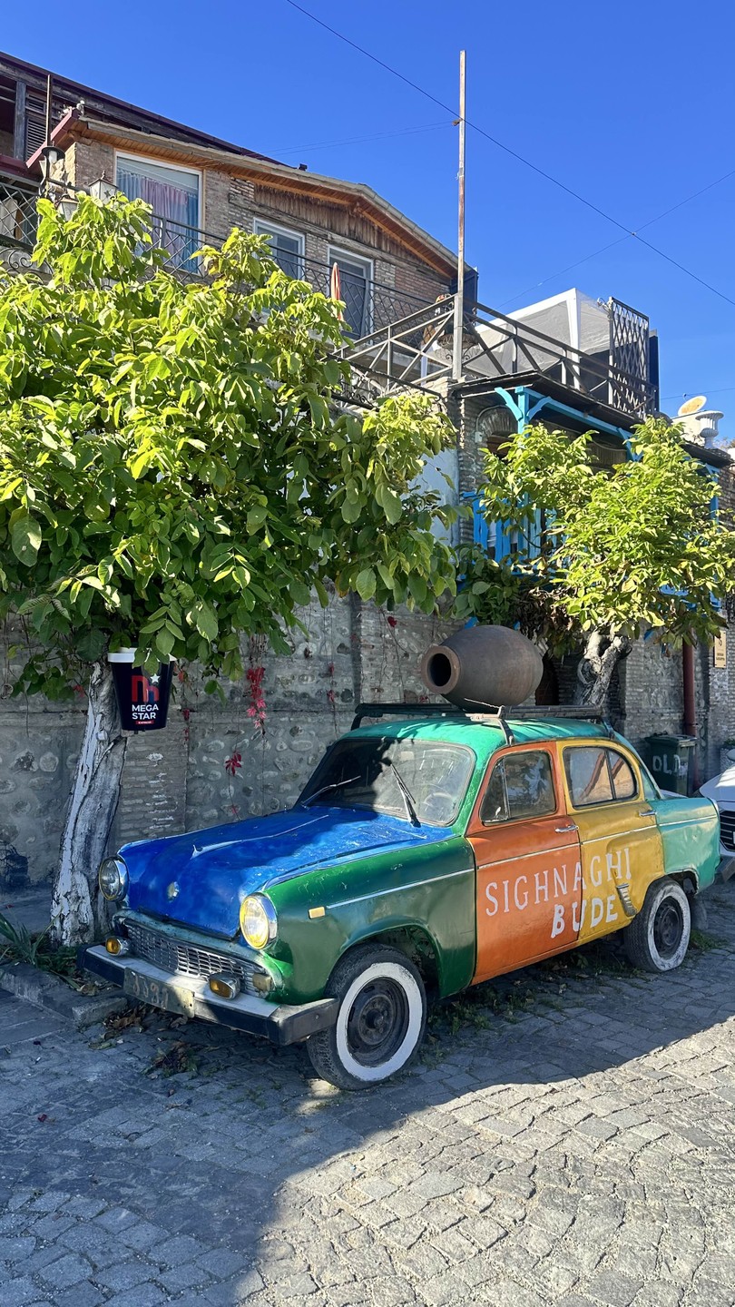 Кахетия: вино, легенды и красота (в группе) (Валерия)