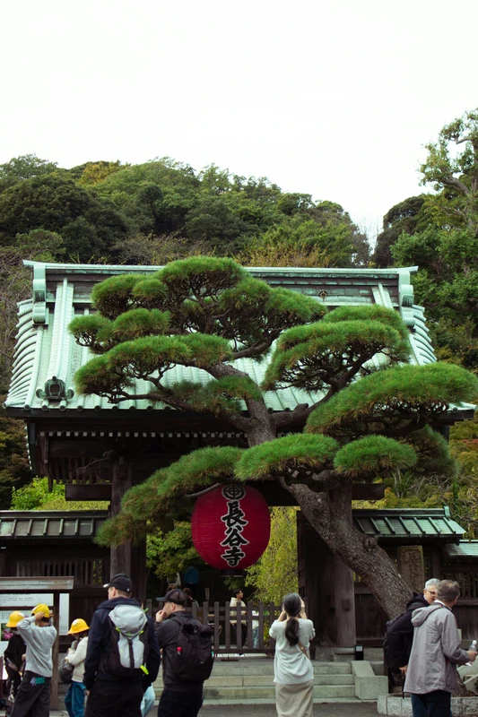 Шёпот Камакуры: древние храмы и самурайские легенды
