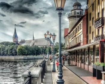 Фото отзыва 1: авторский тур "Балтийская перезагрузка: прогулки по курортам и экотропам и органный концерт"