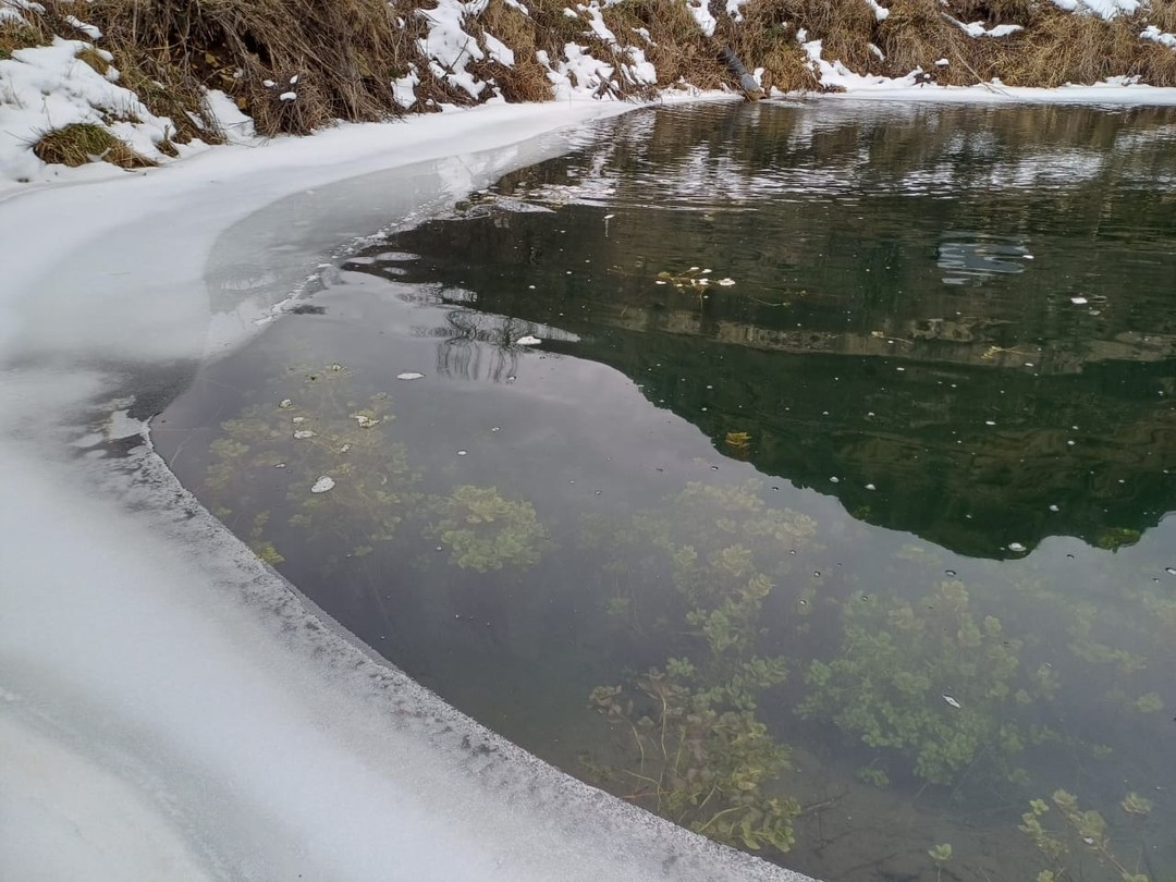 Хочу выразить огромную благодарность Расулу за организацию поездки и чудесного места в горах,где можно реально отдохнуть