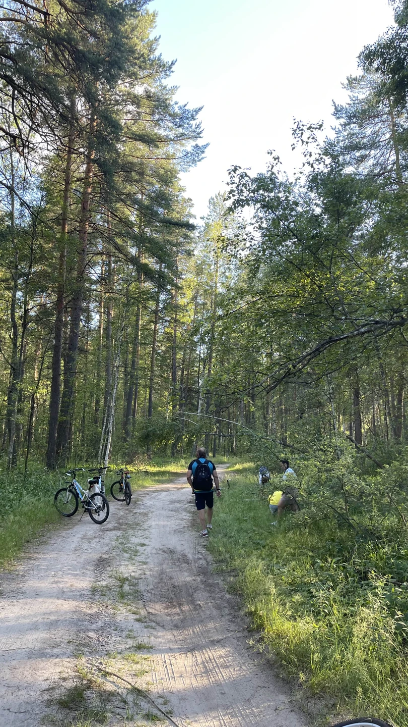 Впервые катались на велосипедах по такой местности. Если вы любите природу, ее ароматы, красоту, то определенно