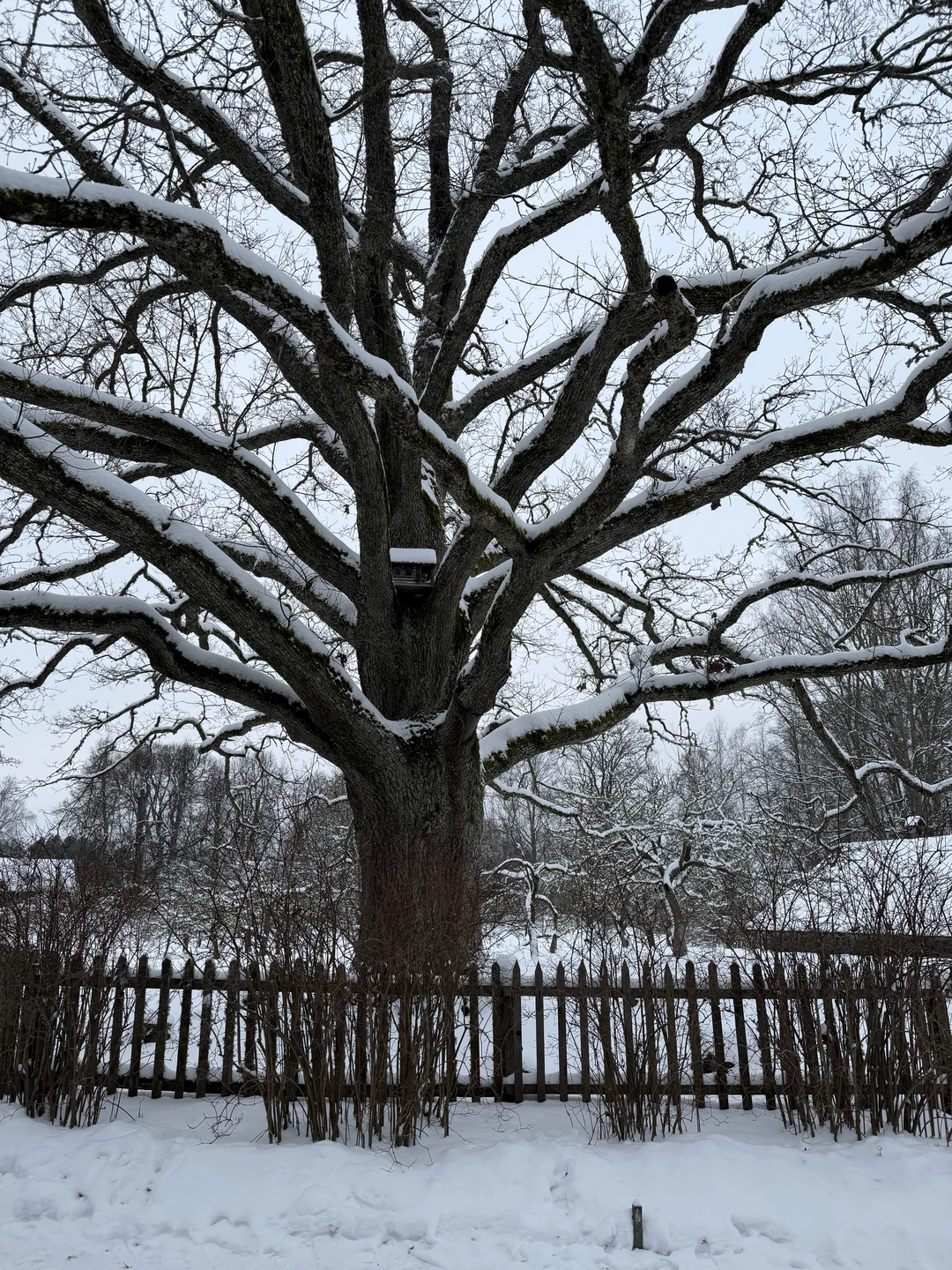 Экскурсовод Юлия Владимировна Дайнеко- это невероятный человек, который читает всего Пушкина наизусть! Это потрясающе, впечатления от
