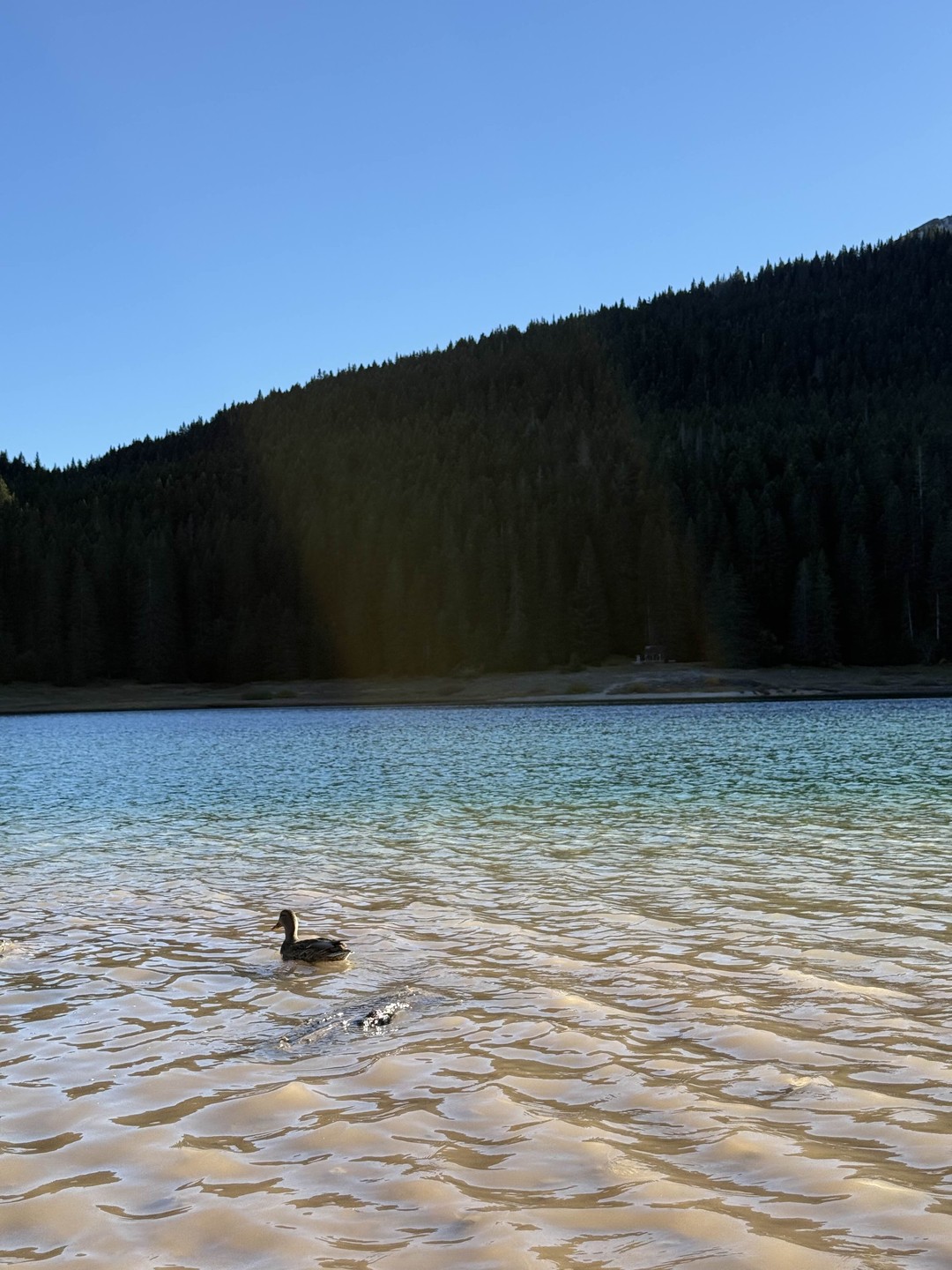 На север Черногории (Ирина)