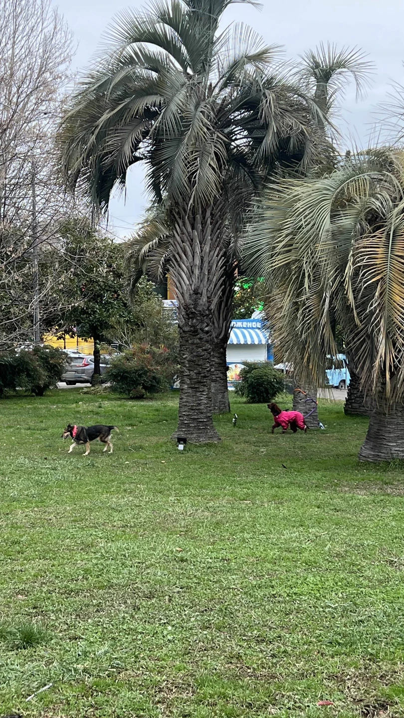 Пешком по Сочи сквозь века (Надежда)