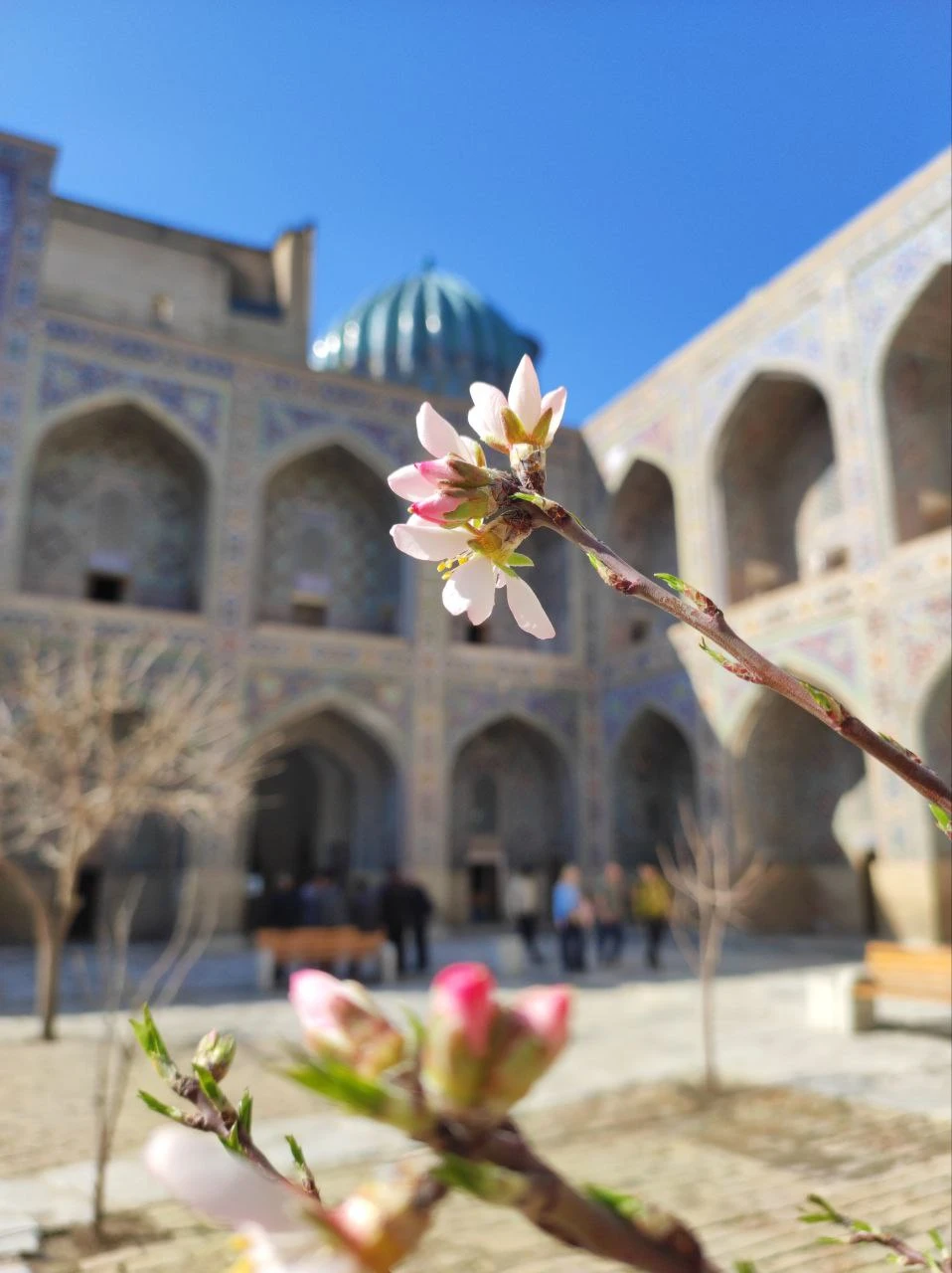 Экскурсия очень понравилась. Шохрух прекрасно владеет русским языком,имеет глубокие знания,рассказ вел не шаблонно,а живо и интересно,рассказывая