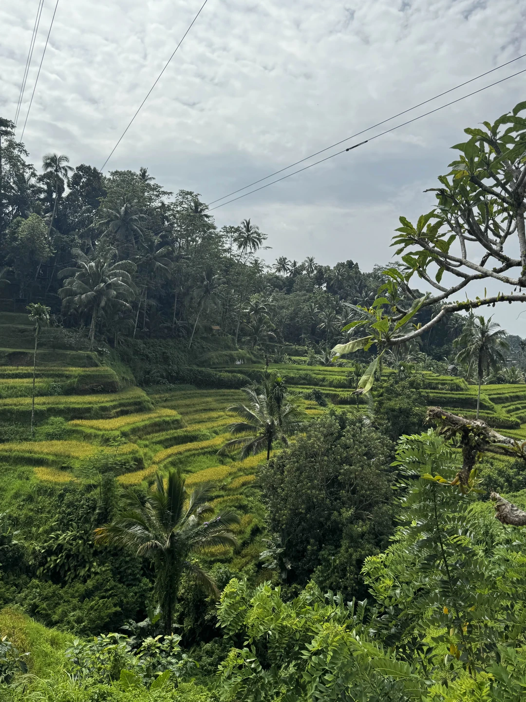 Очень понравится гид Ваян, дружелюбный, рассказывает всё понятно, фотографирует)