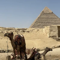 Фото отзыва 4: экскурсия ""