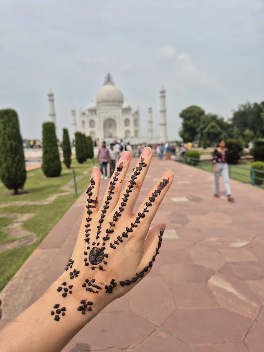 Хочу поблагодарить нашего гида Мухаммада за просто невероятную экскурсию по Агре! Так как мы летели трансфером