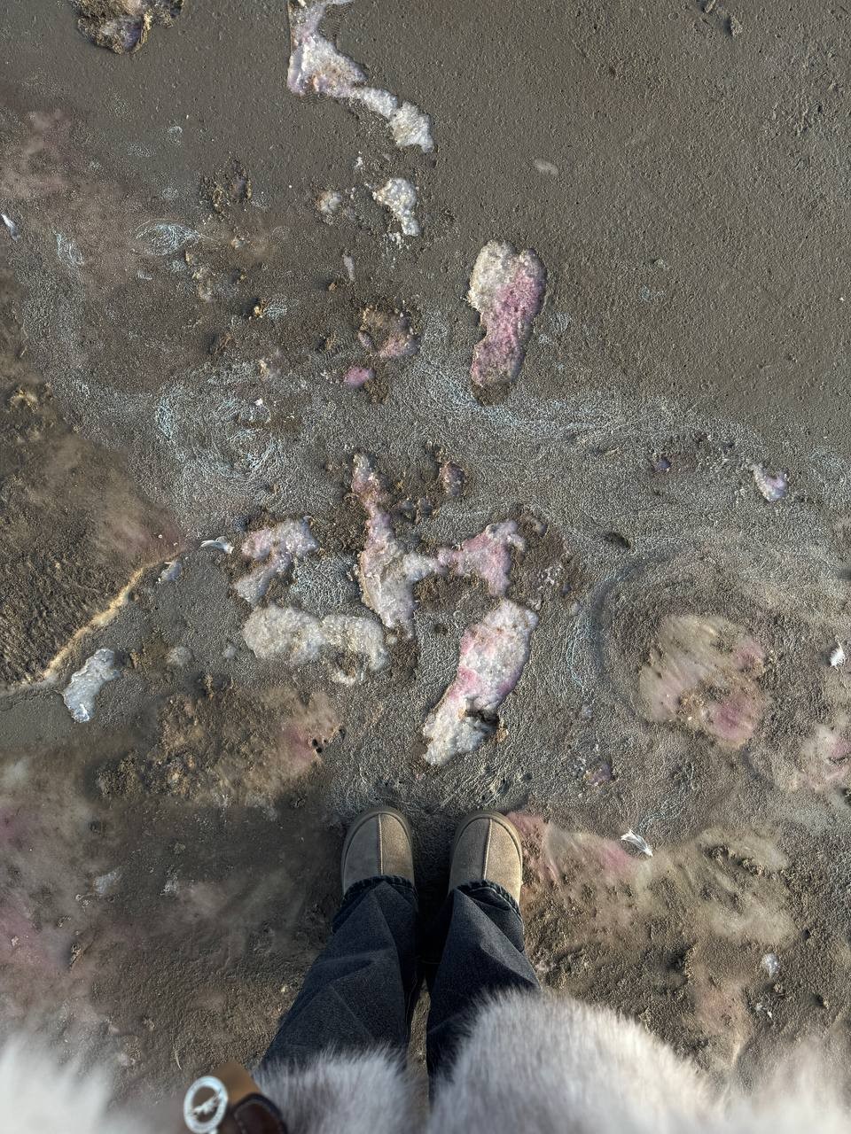 В последний момент отказалась вторая участница экскурсии и я осталась одна. Сказать, что испугалась - ничего