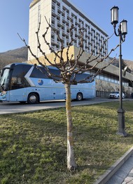 Фото отзыва 1: экскурсия "Лермонтовский Пятигорск"