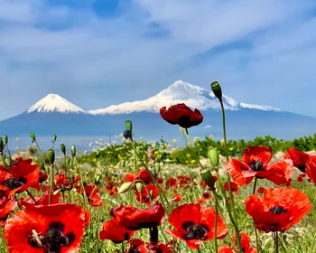 Знакомство с Ереваном