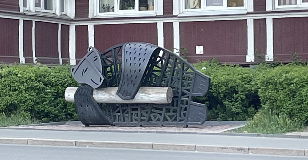 Душевная прогулка по Петрозаводску (Наталия)