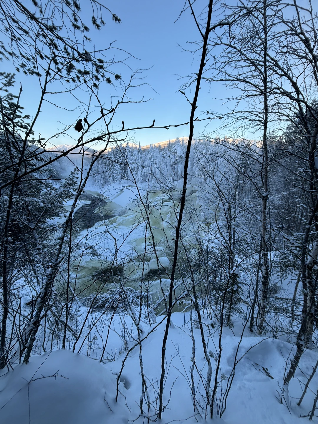 Зимняя природа Севера! После поездки и не знаю, что может быть прекраснее! Дмитрий был нашим гидом