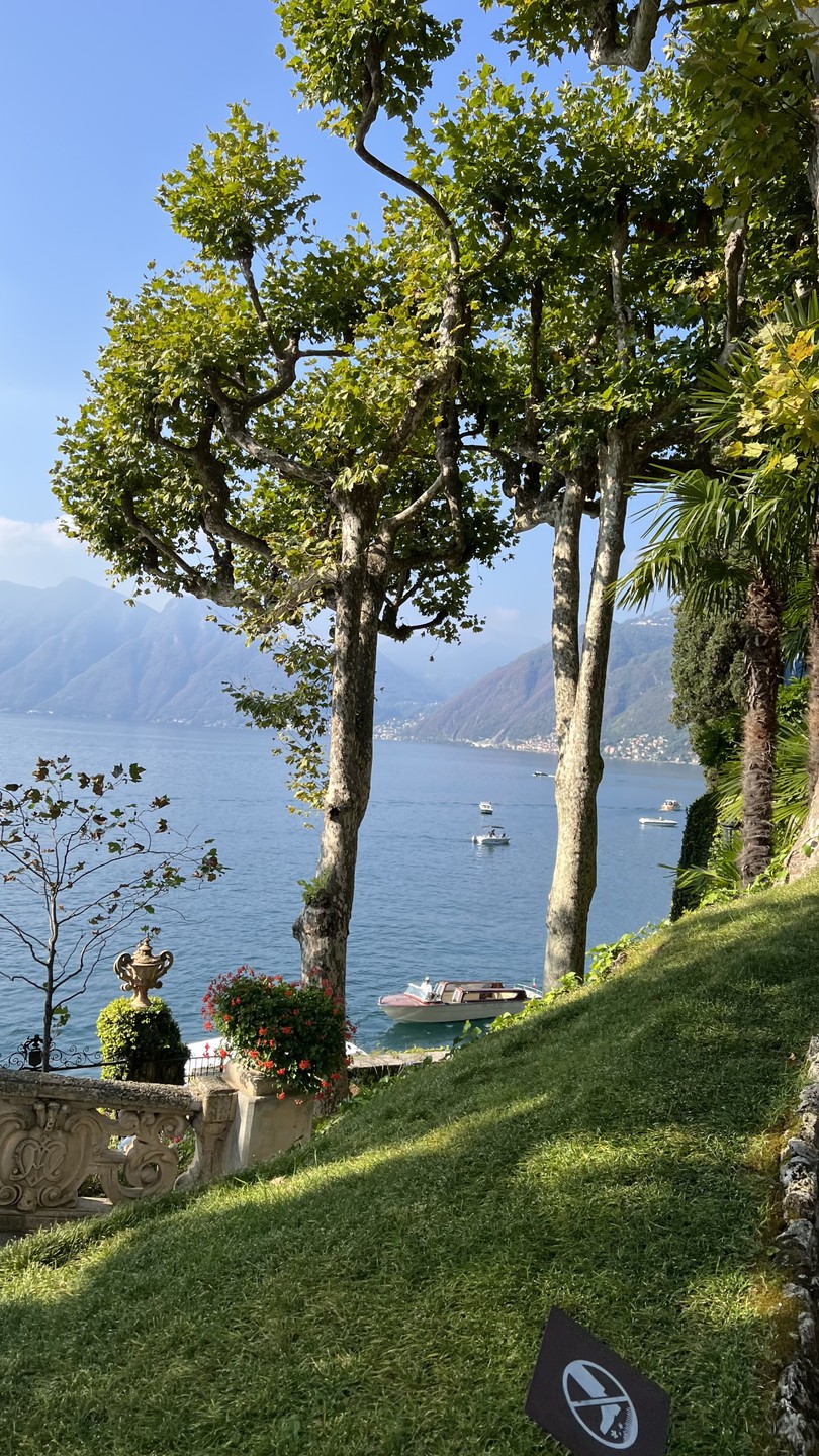 Алексей интеллигентный, образованный и очень интересный гид, узнавать озеро Комо с ним было одно удовольствие. Рассказал