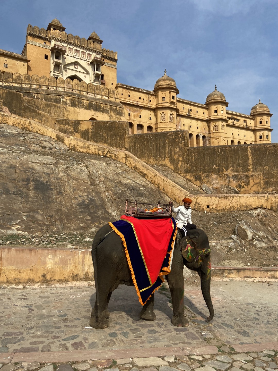 Спасибо всей Вашей команде за чудесное знакомство с Индией и ее замечательными городами и культурой! Тур