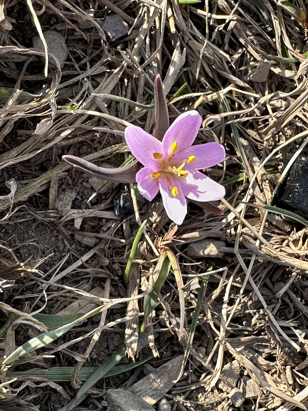 Экскурсия с очень насыщенной программой с лучшим гидом Осетии -Тимуром!)