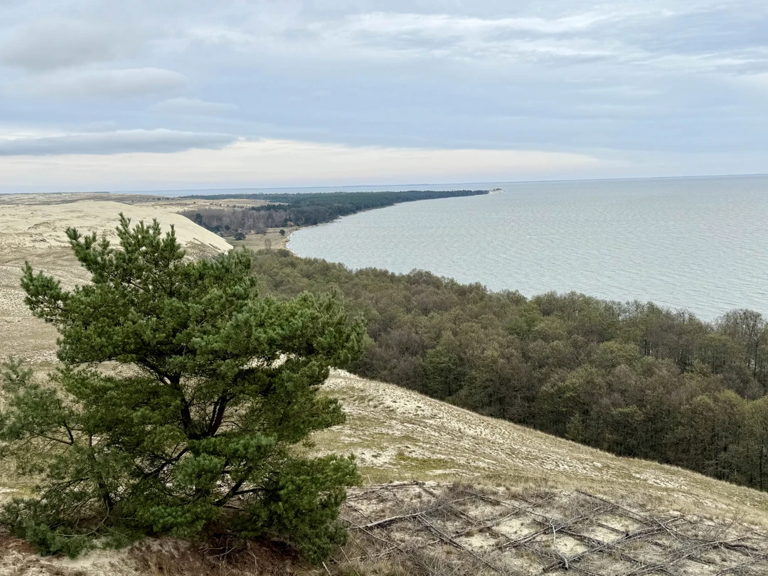 Сказать, что мы с подругой остались довольны экскурсией - не сказать ничего! Это восторг! Наш гид