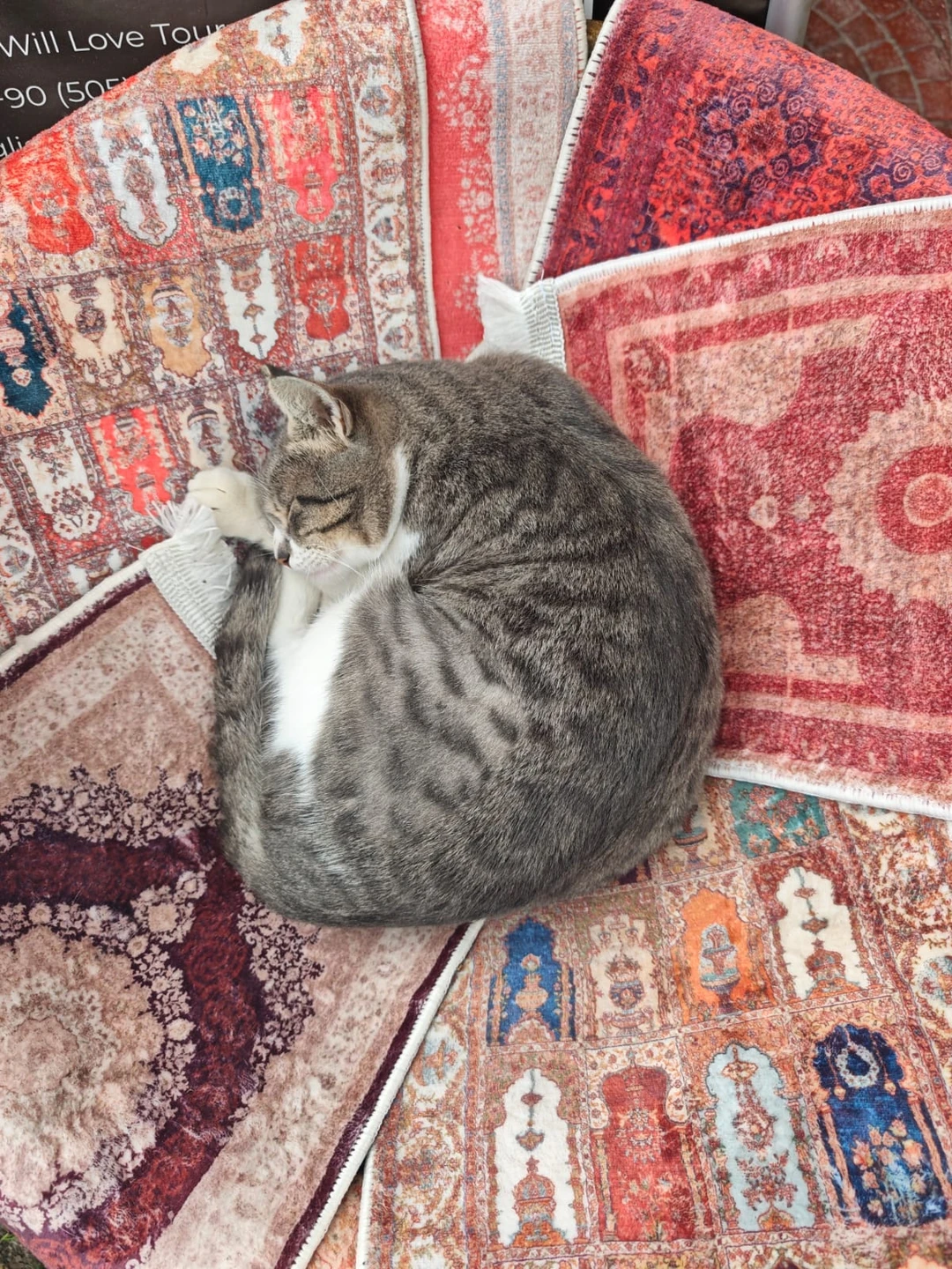 В 3-й раз приезжаю в Стамбул и хотель посмотреть по-новому на этот великолепный город. 3-часовой пеший тур с Джевхером превзошел все мои ожидания!