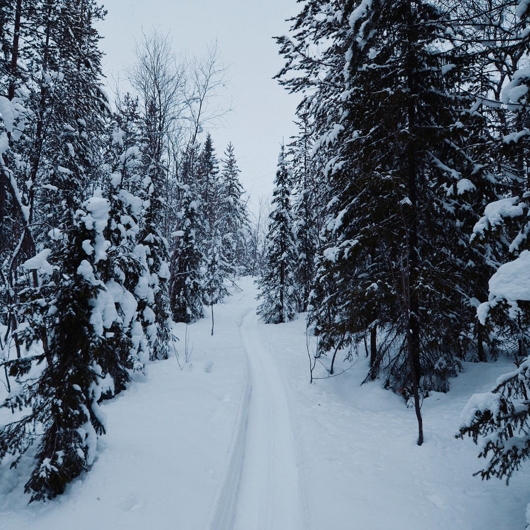 Зимние Хибины - на снегоступах (Татьяна)