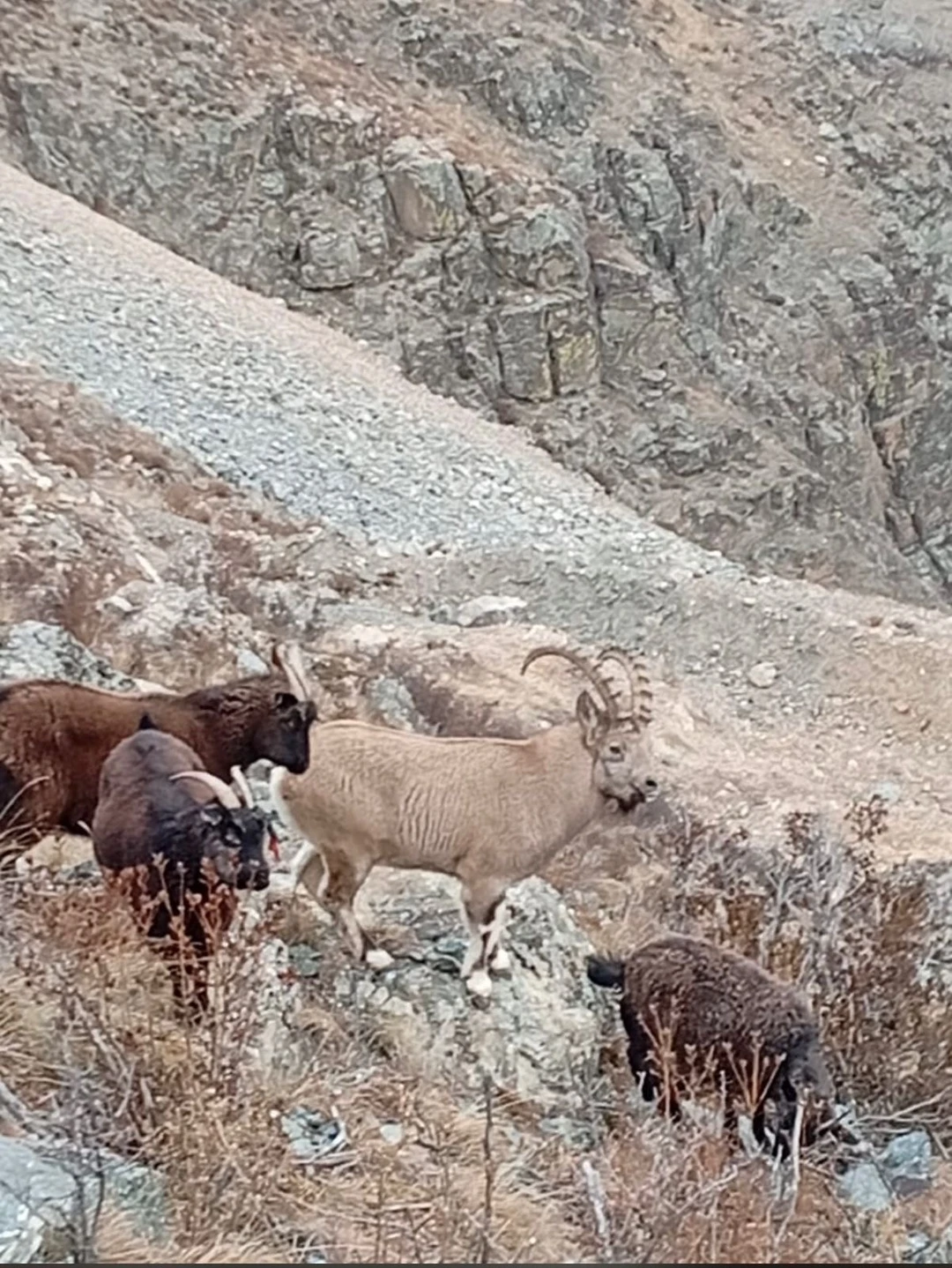 С Инессой ехать само удовольствие! Чувствуется большой опыт вождения и уверенность на дороге. Сначала боялся ехать