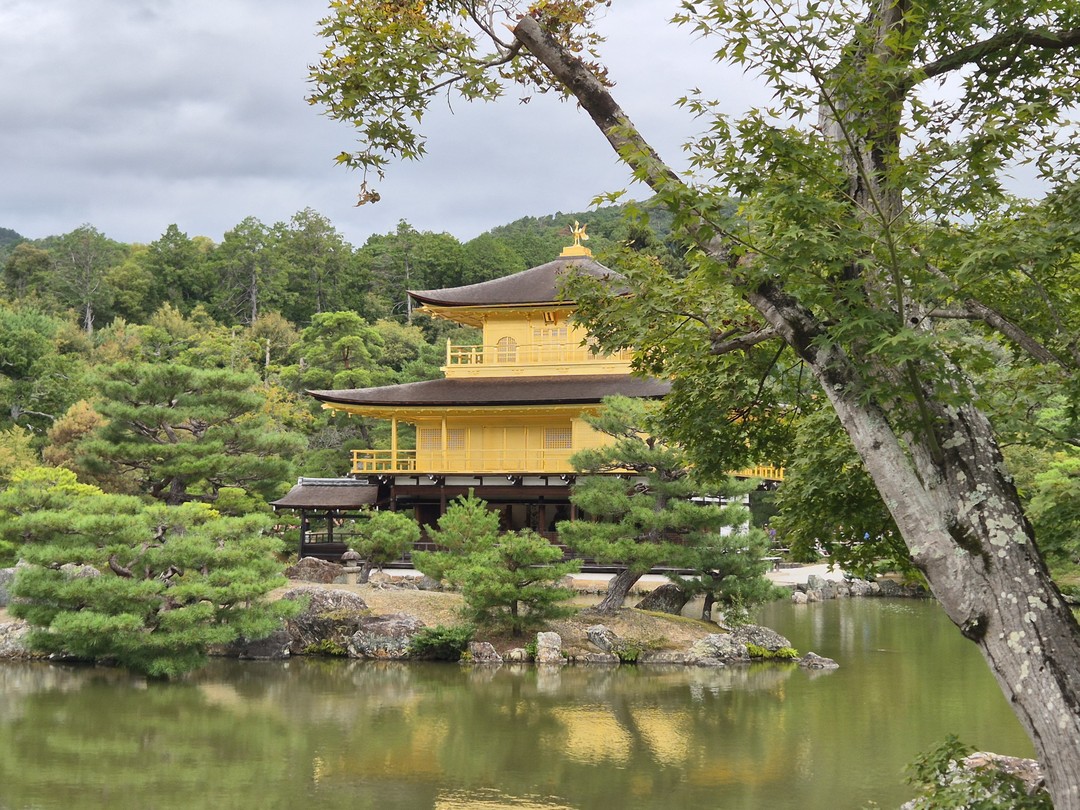 Екатерина отличный профессионал, имеющий огромную базу знаний, увлеченная историей и страной. Спасибо огромное за отличный день
