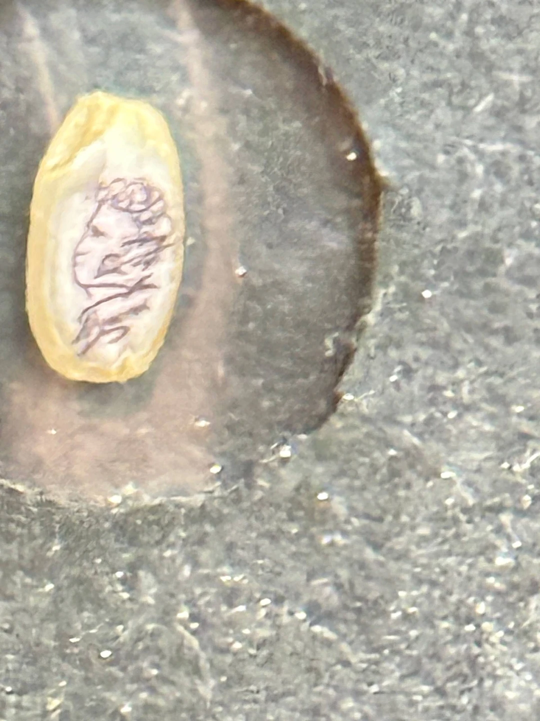 Для первого знакомства с Баку обязательно стоит выбрать именно эту экскурсию