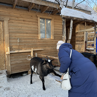 Фото отзыва 1: экскурсия "Этнодеревня и Хибины за 1 день (в мини-группе)"