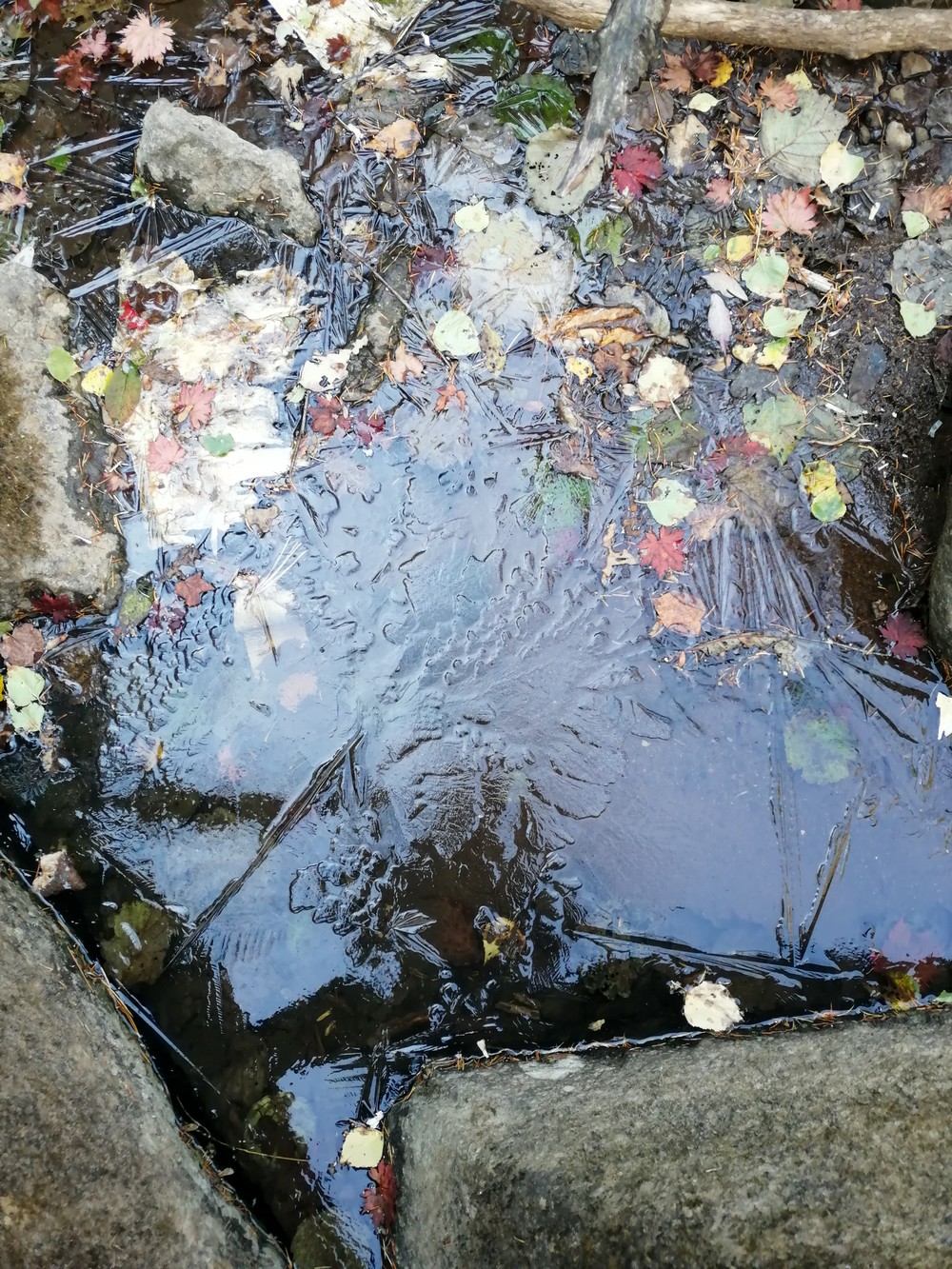 Неожиданное Приморье: из Владивостока — к водопаду, горной реке и ущелью Дарданеллы (3/14)