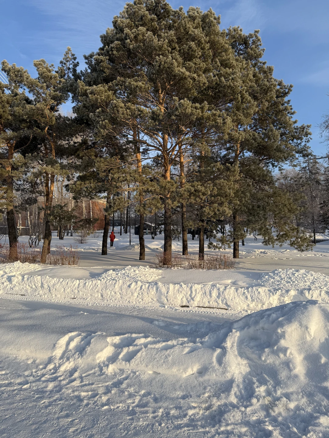 Волею судьбы, погоды и несостыковки самолетов мы оказались в Новосибирске и ничуть об этом не пожалели