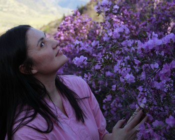 Остров Патмос, Чуйский тракт и перевалы, фиолетовые горы